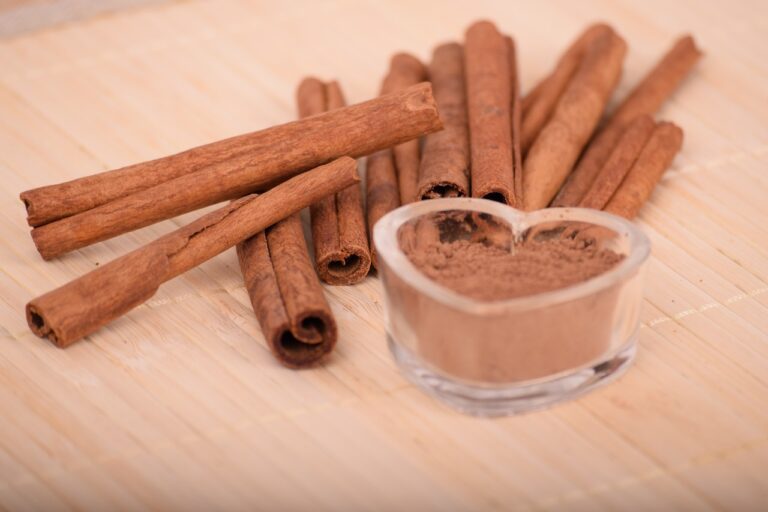 Naturopathic Medicine: A Holistic Approach to Health and Healing