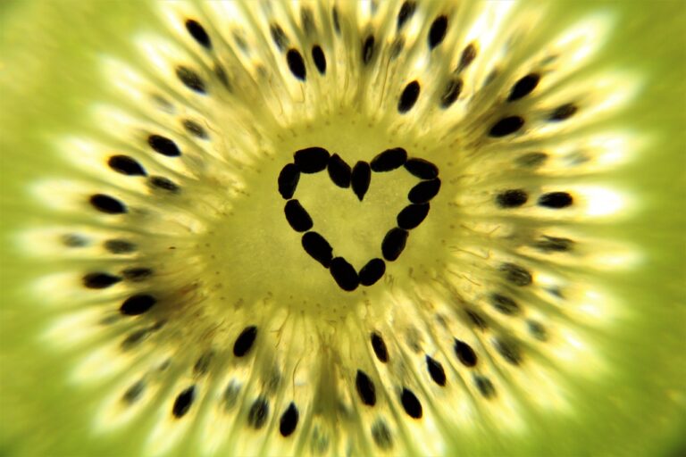 The Science of Aging: Understanding the Biological Processes