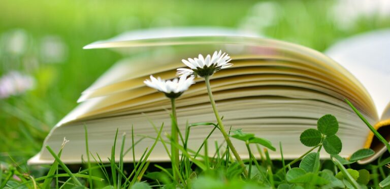 The Role of Practical Life Activities in Developing Independence: Betbhai9, Playexch in login, Lotus 365.vip