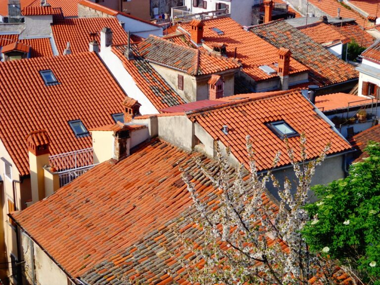 The Benefits of Professional Estate Cleanouts: All panel 777, Lesar247, 99 exch