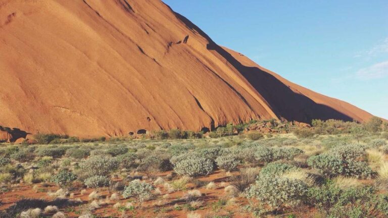 Does 99Exch Have A Toll-Free Number For Customers?